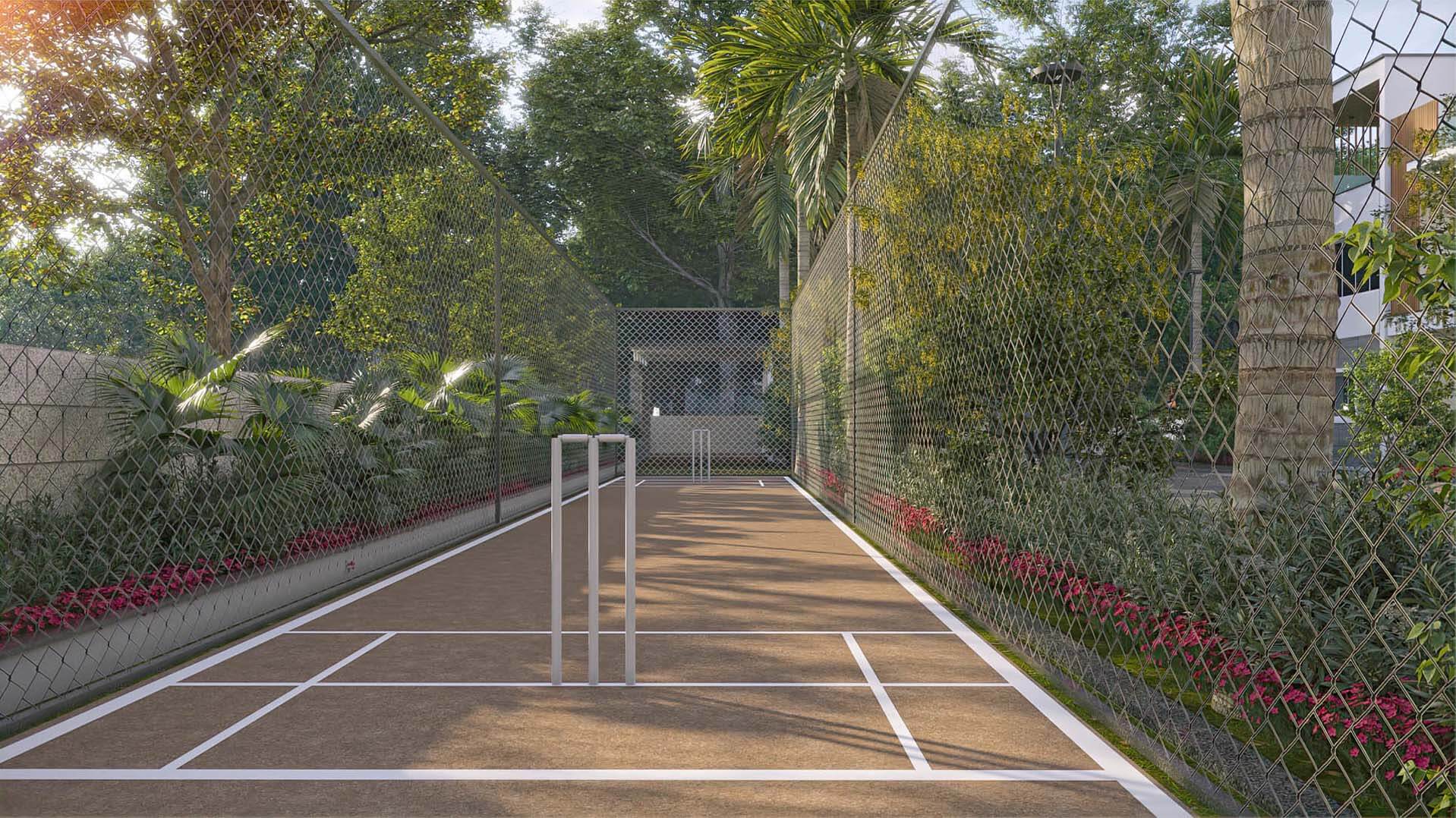 Cricket